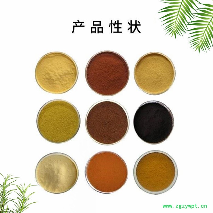 女贞子提取物 水溶 可定制 女贞子提取物厂家 女贞子浓缩粉图2