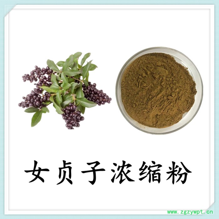 女贞子粉 可定制 六盘韵 水溶 品质保障图7
