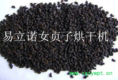 快捷方便烘干女贞子烘干设备图2