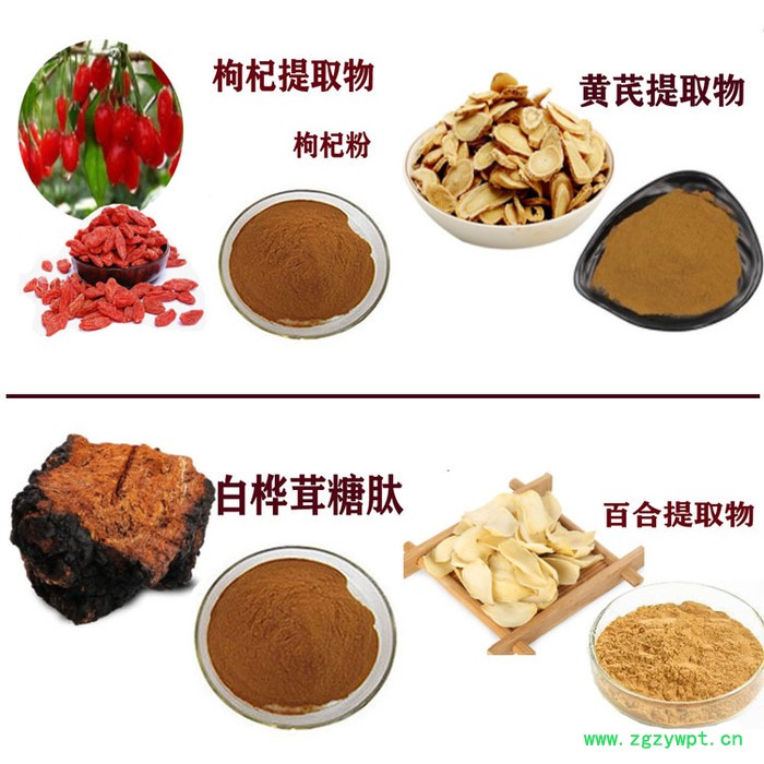 女贞子提取物30:1  齐墩果酸  女贞子粉  现货供应图5