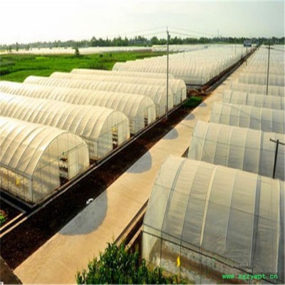 智能花卉温室大棚 晾晒枸杞子大棚的价格 旭航