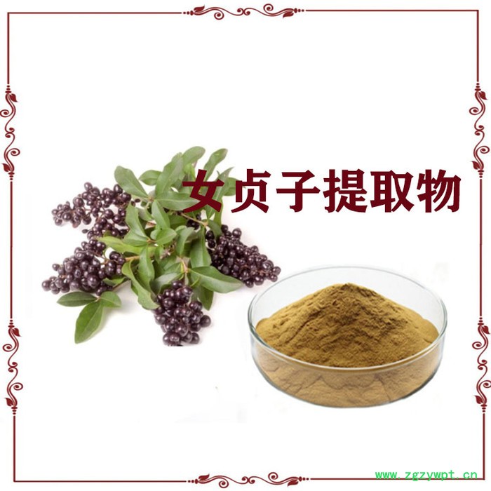 女贞子提取物10:1  女贞子粉  齐墩果酸图3