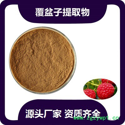 西安瑞尔丽 覆盆子提取物 粉末 浓缩粉 沙棘浓缩粉