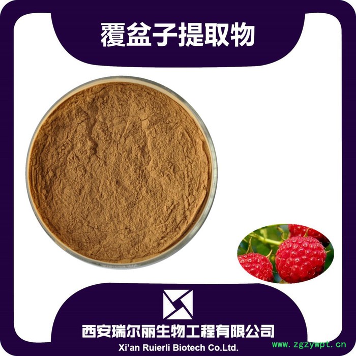 西安瑞尔丽 覆盆子提取物 粉末 浓缩粉 沙棘浓缩粉图6