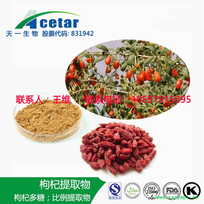 天一生物 枸杞子提取物 枸杞子粉 枸杞多糖 5% 10% 20% 98% 10:1 20:1 等各种规格图3