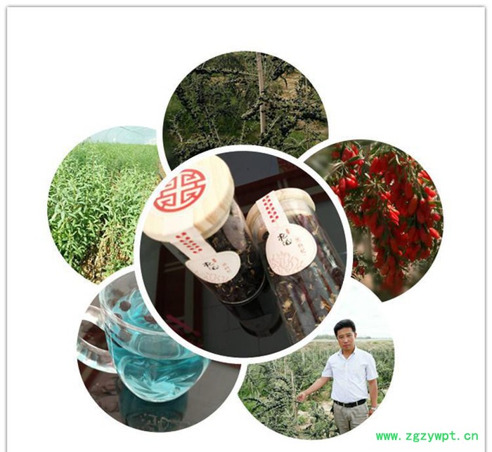 2016头茬新货枸杞 现摘**黑枸杞 瓶装免洗贡果 黑枸杞子50g图3