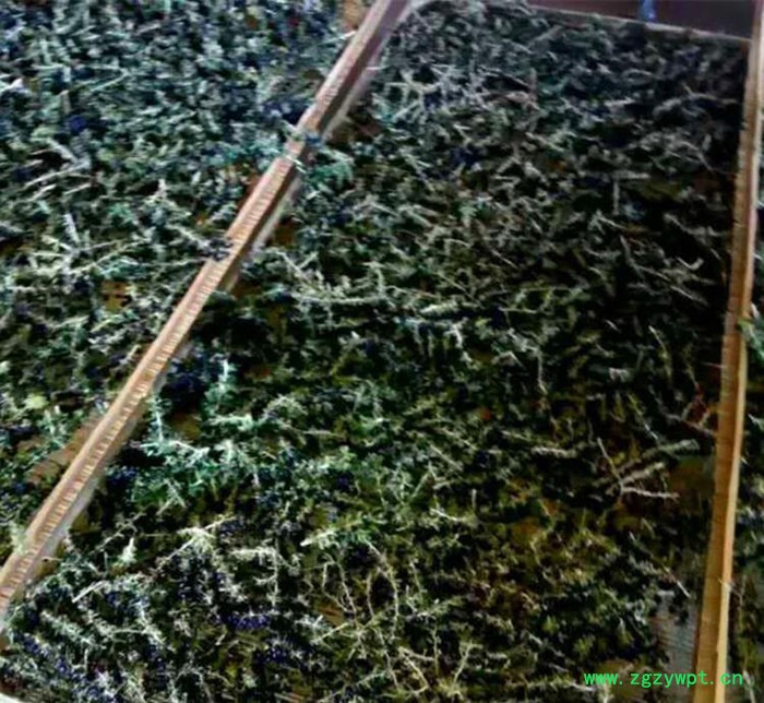 2016头茬新货枸杞 现摘**黑枸杞 瓶装免洗贡果 黑枸杞子50g图4