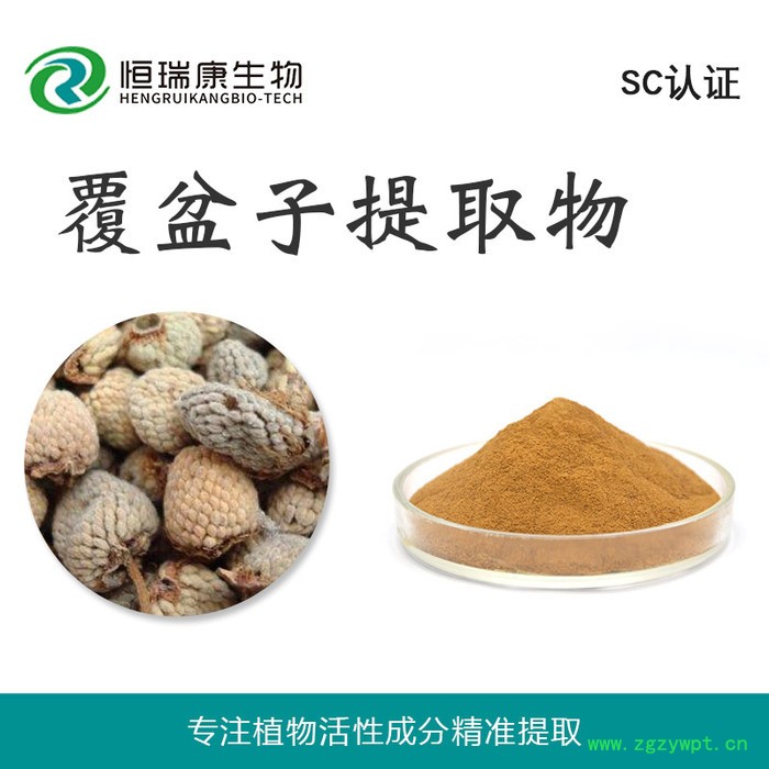 恒瑞康SC工厂直供 覆盆子提取物 水溶覆盆子粉 1KG起批 现货图2