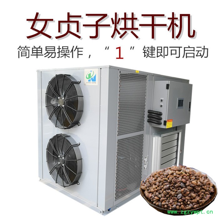 大型女贞子烘干机图5