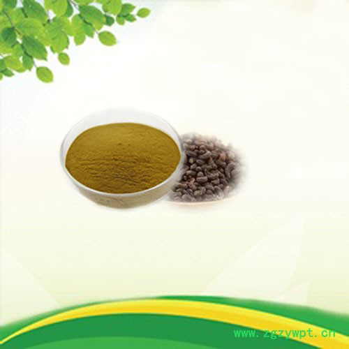 森杰生物  现货供应  女贞子提取物  10:1  植物提取物  包邮图8