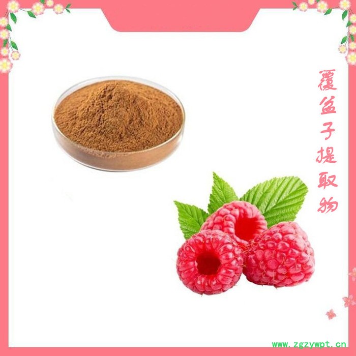 覆盆子浓缩粉 覆盆子提取物 覆盆子酮 厂家供应图3