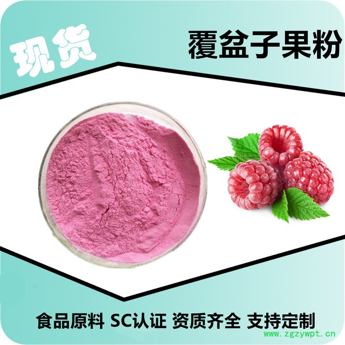 覆盆子果粉 覆盆子提取物 覆盆子浓缩粉食品原料 资质齐全厂家包邮西安优硕 覆盆子果粉 原料粒子图2