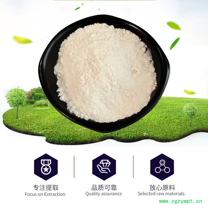 齐墩果酸 98%厂家现货 女贞子提取物 可定制 1kg起订图2