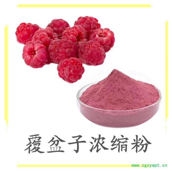 覆盆子浓缩粉 水溶 六盘韵 可定制 品质保障图3