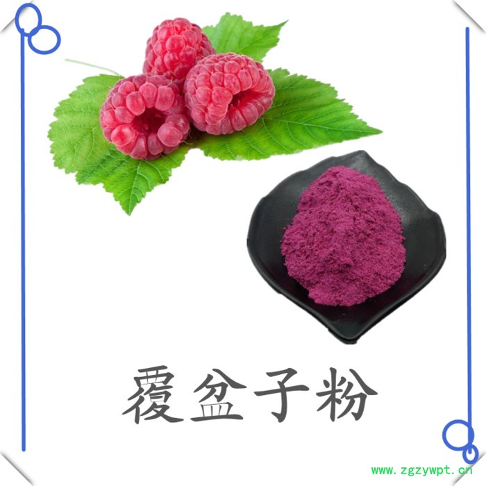 覆盆子浓缩粉 水溶 六盘韵 可定制 品质保障图2
