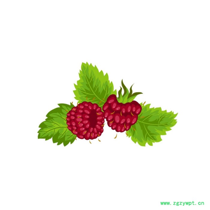 覆盆子浓缩粉 水溶 六盘韵 可定制 品质保障图6