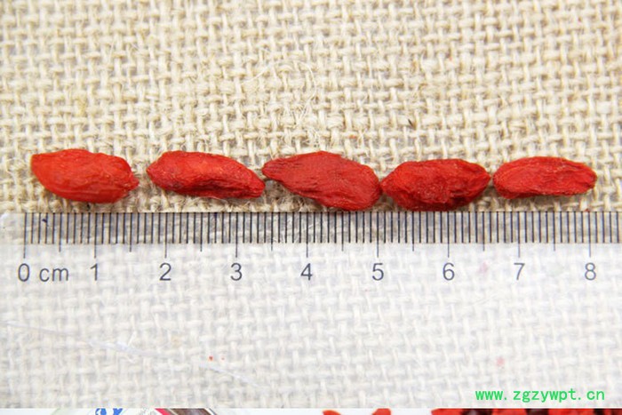 **】护国岩山枸杞子 养肝护肾批发采购图6