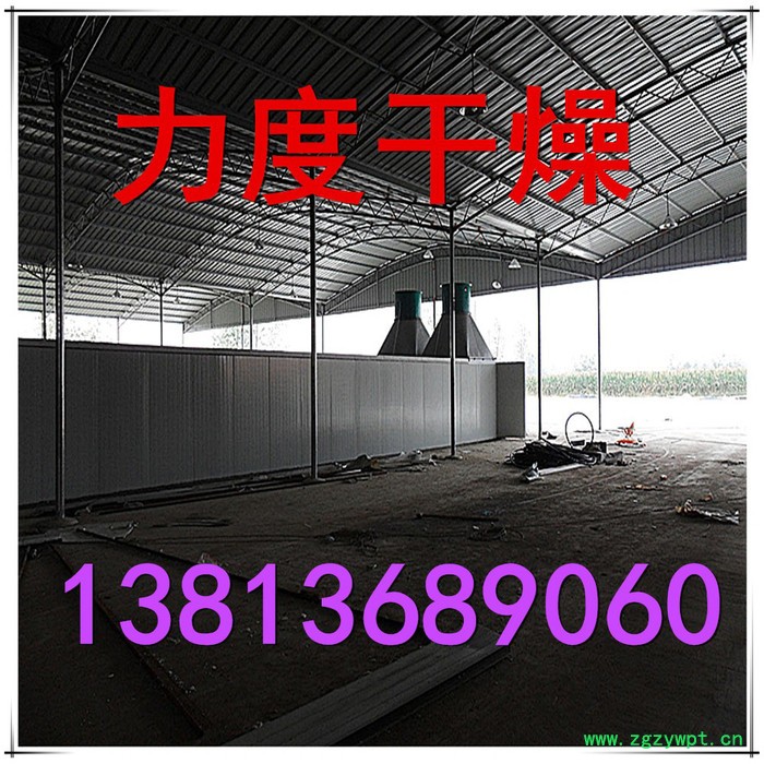 常力CT-C系列枸杞子烘箱，枸杞专用热风循环烘箱图4