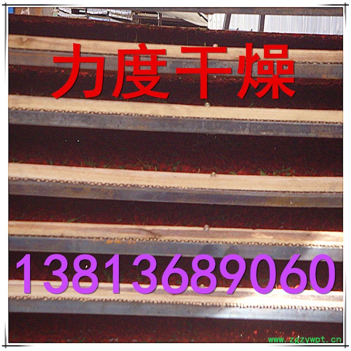 常力CT-C系列枸杞子烘箱，枸杞专用热风循环烘箱图3