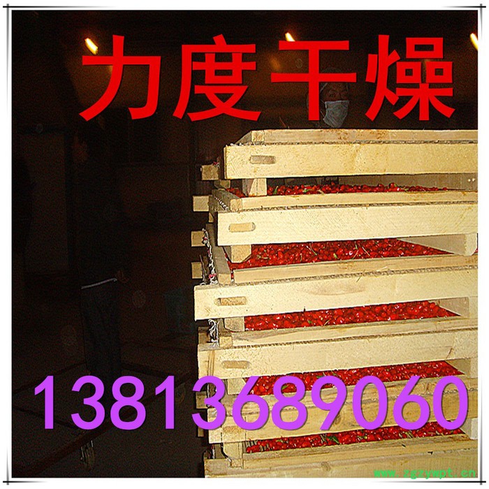 常力CT-C系列枸杞子烘箱，枸杞专用热风循环烘箱图2