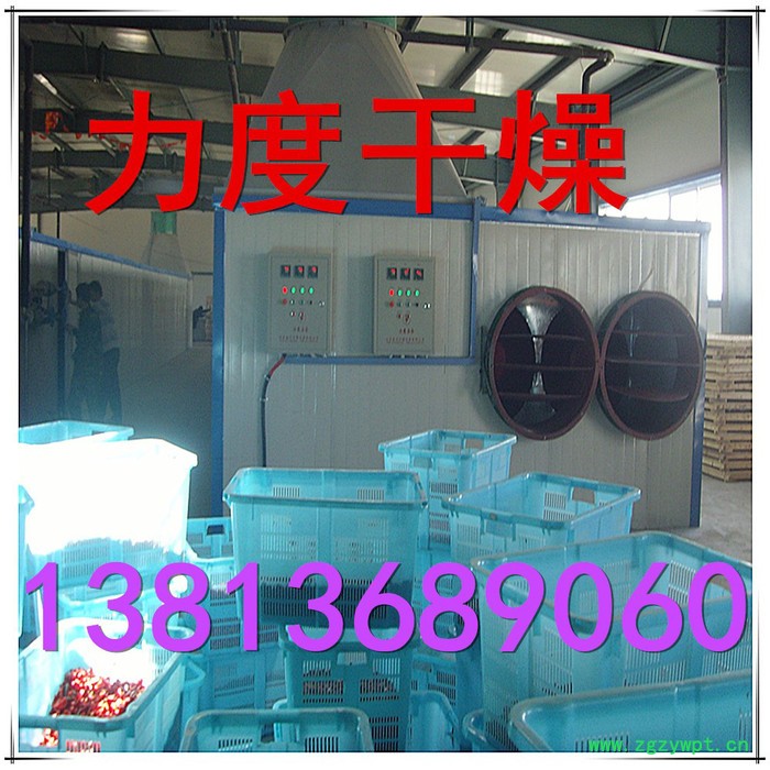 常力CT-C系列枸杞子烘箱，枸杞专用热风循环烘箱图5