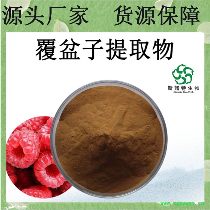 覆盆子提取物 10:1   覆盆子粉    覆盆子浸膏粉图7