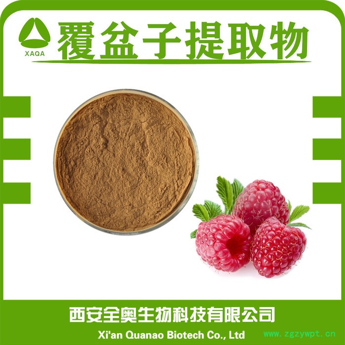 全奥生物 覆盆子提取物 水溶 覆盆子粉 树莓粉 浓缩粉 树莓提取物 SC厂家图4