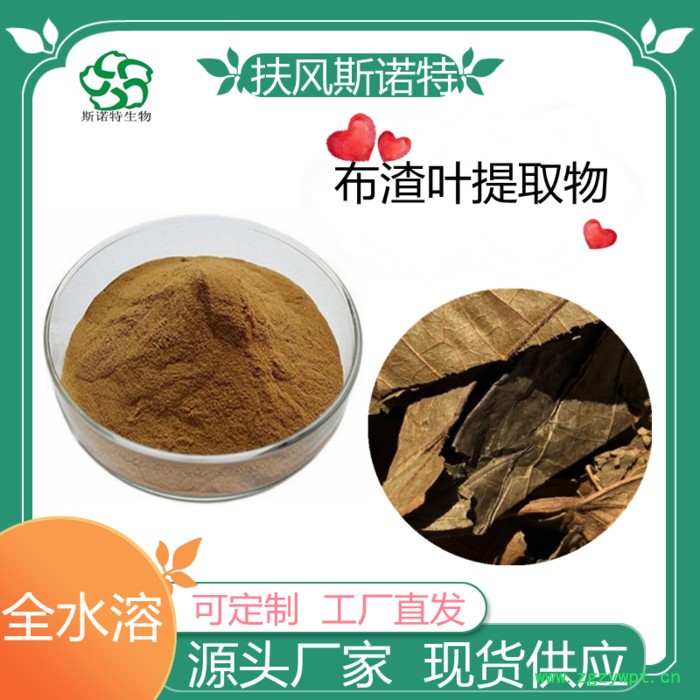 女贞子浓缩粉  水溶    可定制   斯诺特生物图3