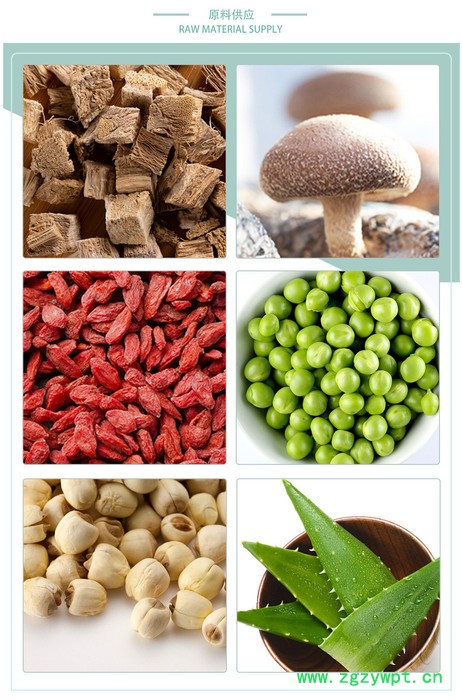 女贞子提取物 六盘韵 水溶 可定制 源头厂家图4