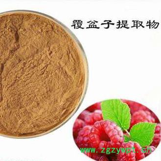 覆盆子提取物 植物提取物 陕西华实生物 sc厂家直供图2