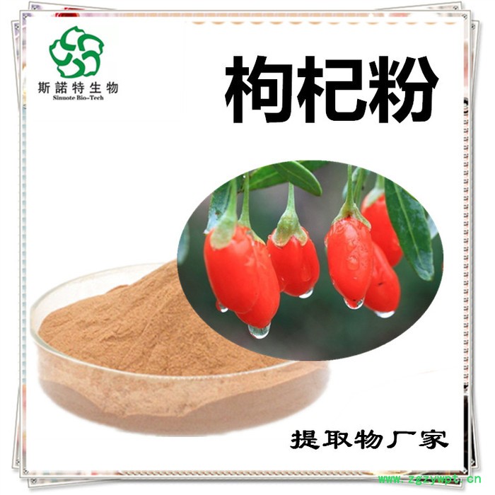 斯诺特 枸杞子浓缩粉  生产厂家   枸杞子提取物图4