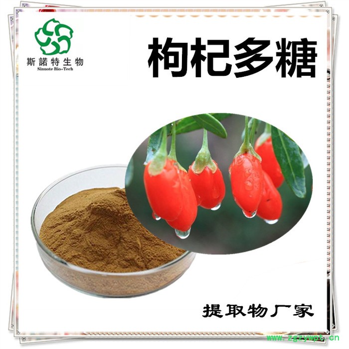 斯诺特 枸杞子浓缩粉  生产厂家   枸杞子提取物图7