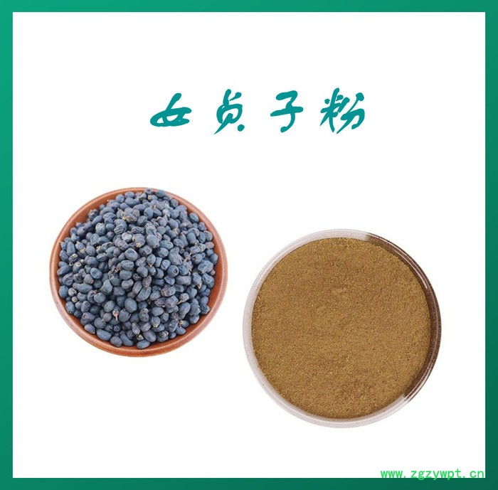 女贞子粉 水溶 可定制 女贞子提取物厂家图3