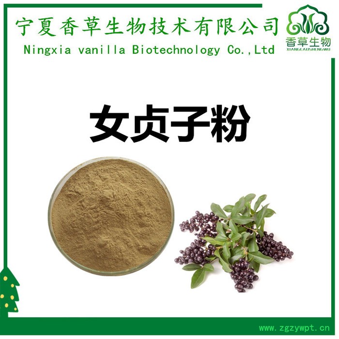 女贞子粉97%  女贞子速溶粉全溶于水 女贞子提取物图2