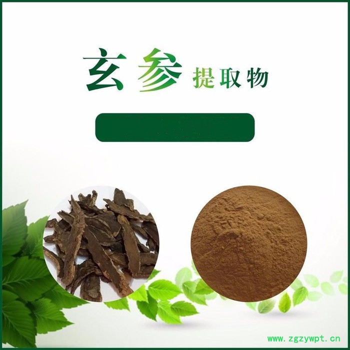 女贞子提取物 98% 斯诺特库存 全水溶女贞子粉图4