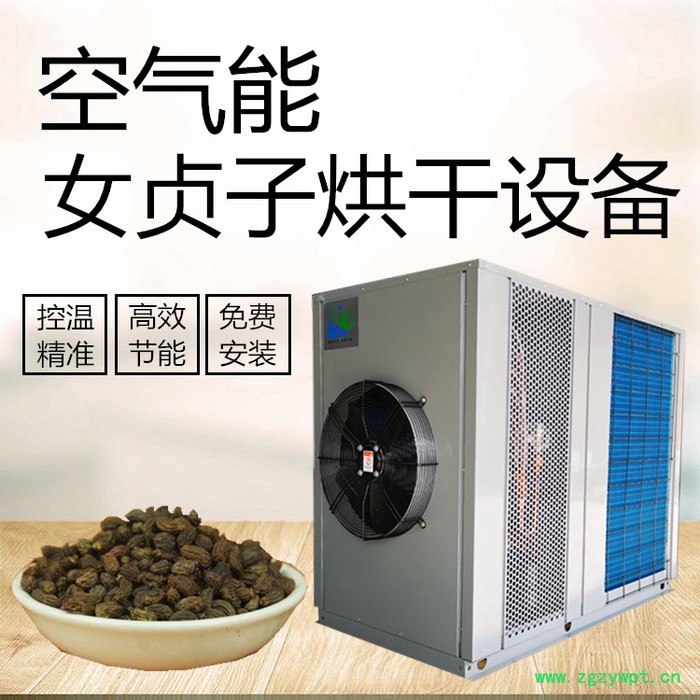 女贞子烘干机图2