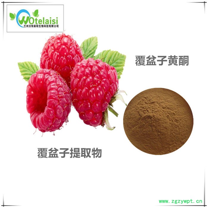 覆盆子提取物10:1 覆盆子黄酮 覆盆子速溶粉 覆盆子粉图4