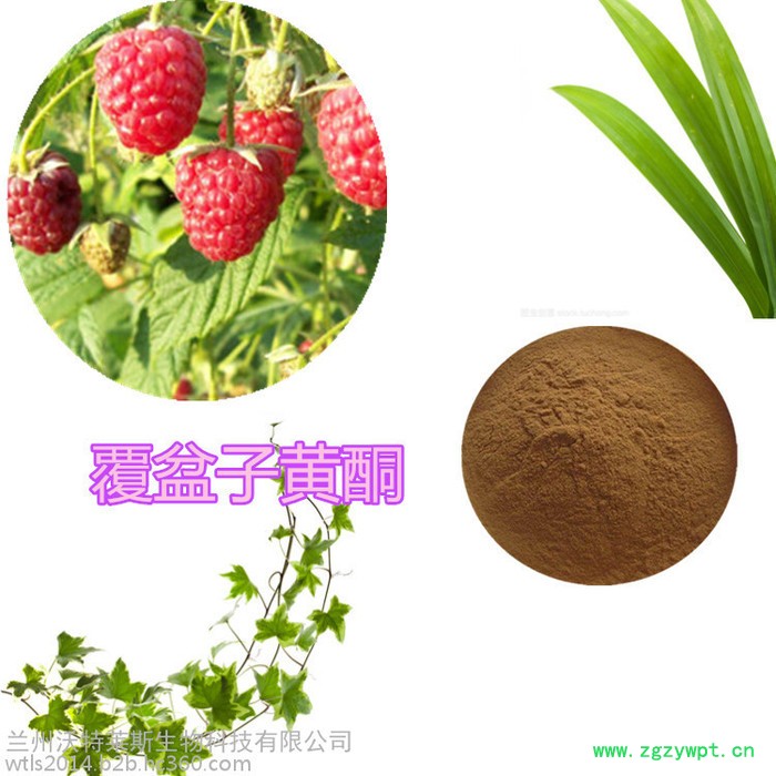 覆盆子提取物10:1 覆盆子黄酮 覆盆子速溶粉 覆盆子粉图3