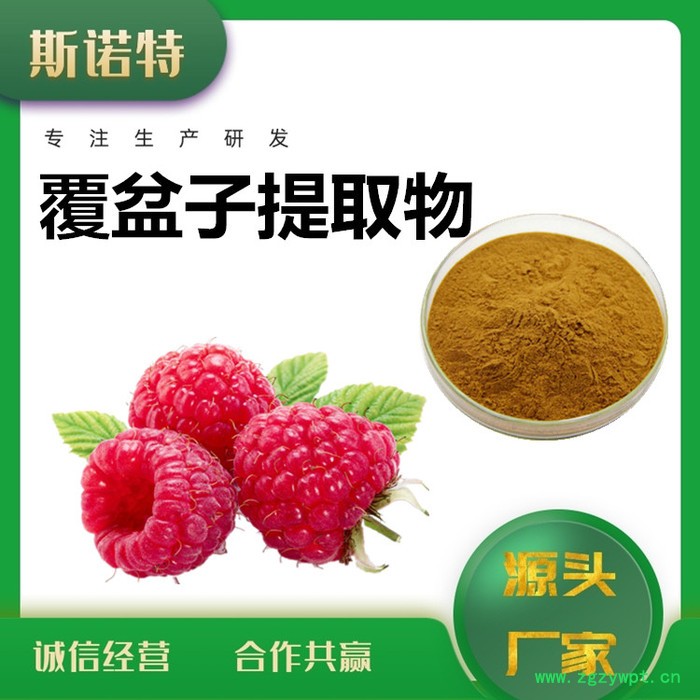 斯诺特 覆盆子酮 覆盆子提取物  厂家供应 包邮图4