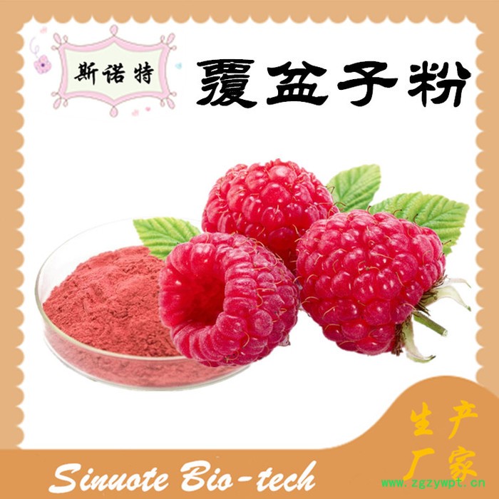 斯诺特 覆盆子酮 覆盆子提取物  厂家供应 包邮图8