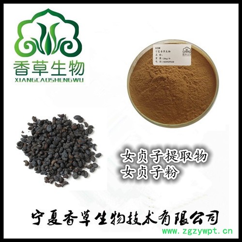 女贞子提取物生产商 厂家供应冬青子粉130目  女贞实浓缩浸膏现货图2