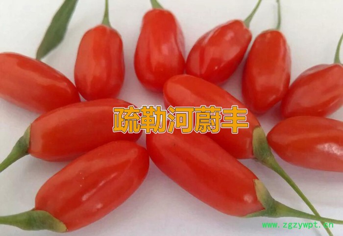 **瓜州枸杞子 280枸杞王 肉厚味甜 200克袋装图3