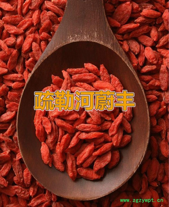 **瓜州枸杞子 280枸杞王 肉厚味甜 200克袋装图2