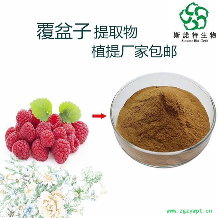 覆盆子提取物  植物提取物  生产厂家供应图5