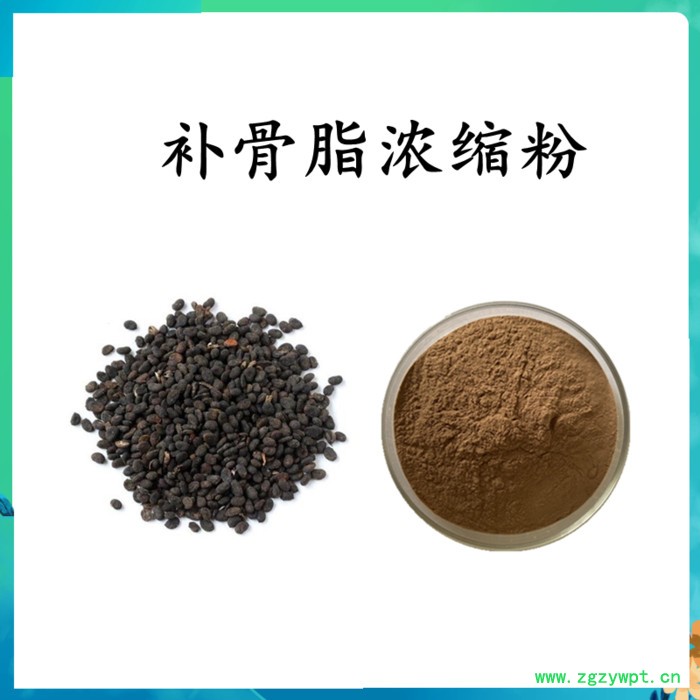 扶风斯诺特  车前子破壁粉 车前子粉  水溶 可定制图2