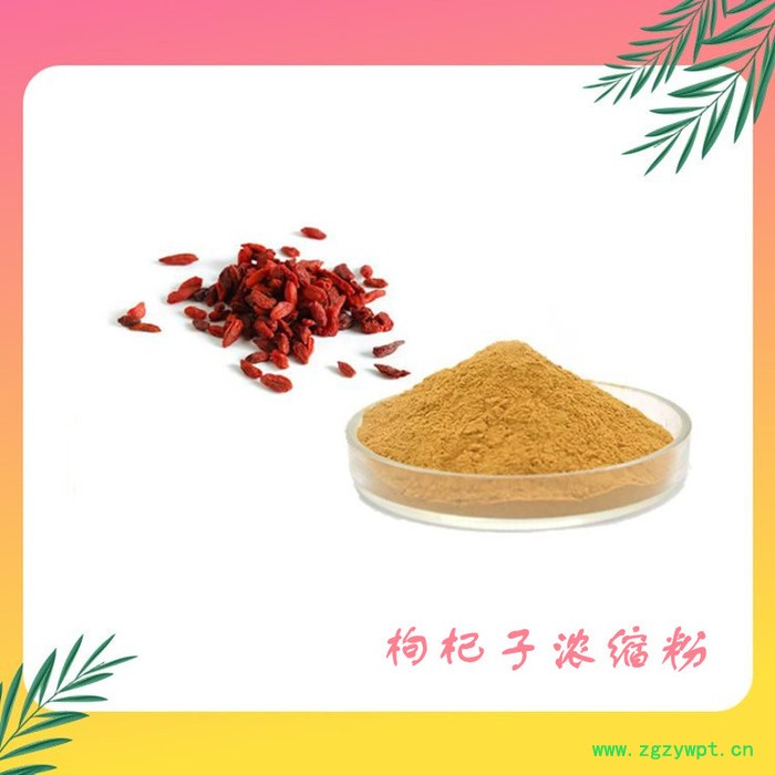 枸杞子浓缩粉 枸杞子提取物 枸杞多糖 六盘韵图3