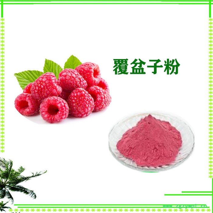 覆盆子粉  覆盆子速溶粉  覆盆子黄酮  覆盆子提取物图4