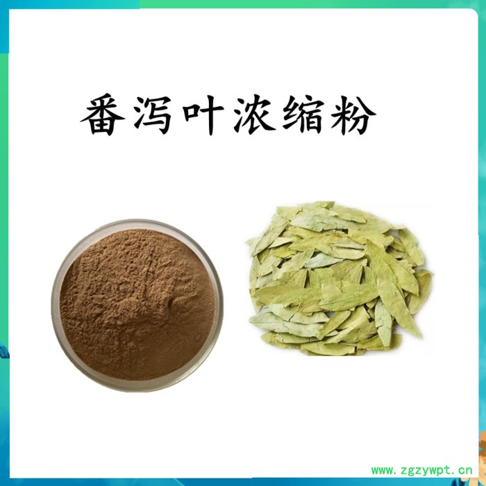 扶风斯诺特  女贞子破壁粉 女贞子浓缩粉  水溶  可定制图4