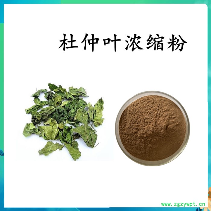 扶风斯诺特  女贞子破壁粉 女贞子浓缩粉  水溶  可定制图3