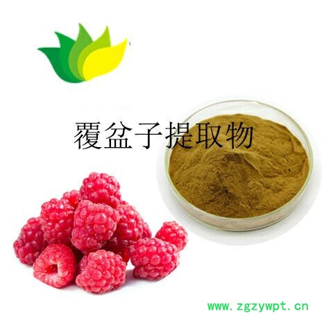 覆盆子提取物图2